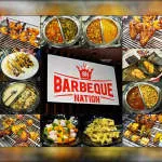 BARBEQUE NATION HOSPITALITY LTD company logo