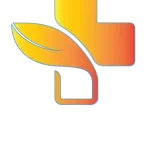 Medicoshield Consultancy Private Limited company logo