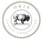 Okie placement services private limited company logo