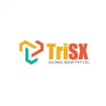 TRISX GLOBAL INDIA PRIVATE LIMITED company logo
