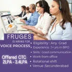 VOICE PROCESS - Jayanagar company logo