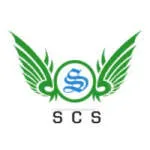 shriconsultancy services company logo